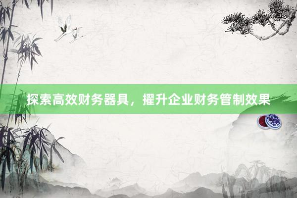 探索高效财务器具，擢升企业财务管制效果